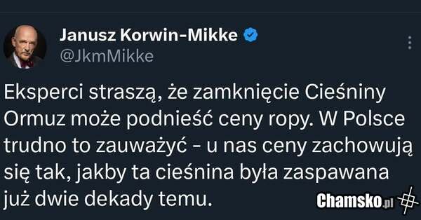 Korwin w formie