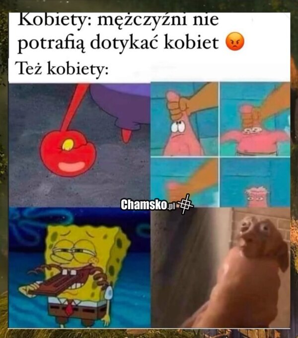 Obsługa pindola