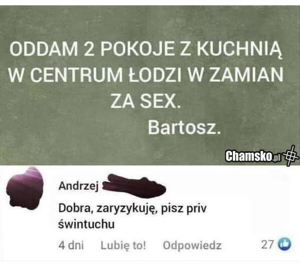 Oferta wynajmu