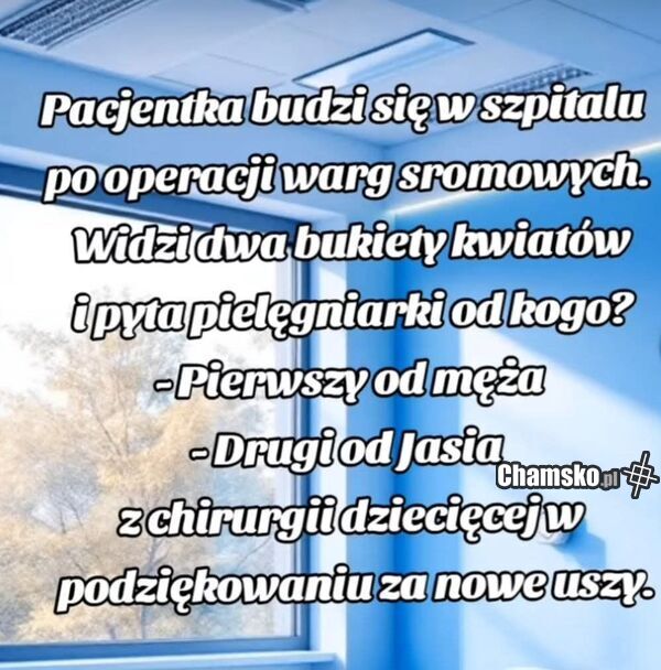 Operacja warg