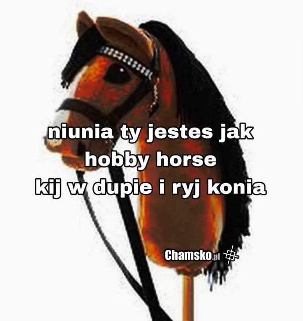 Hobby horse