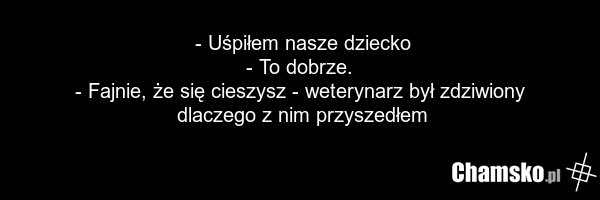 - Uśpiłem nasze dziecko - To dobrze. - Fajnie, że się cieszysz - weterynarz był zdziwiony dlaczego z nim przyszedłem
