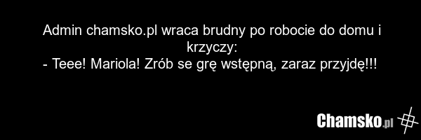 Admin chamsko.pl wraca brudny po robocie do domu i krzyczy: - Teee! Mariola! Zrób se grę wstępną, zaraz przyjdę!!!