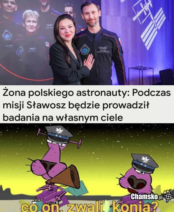 Badania