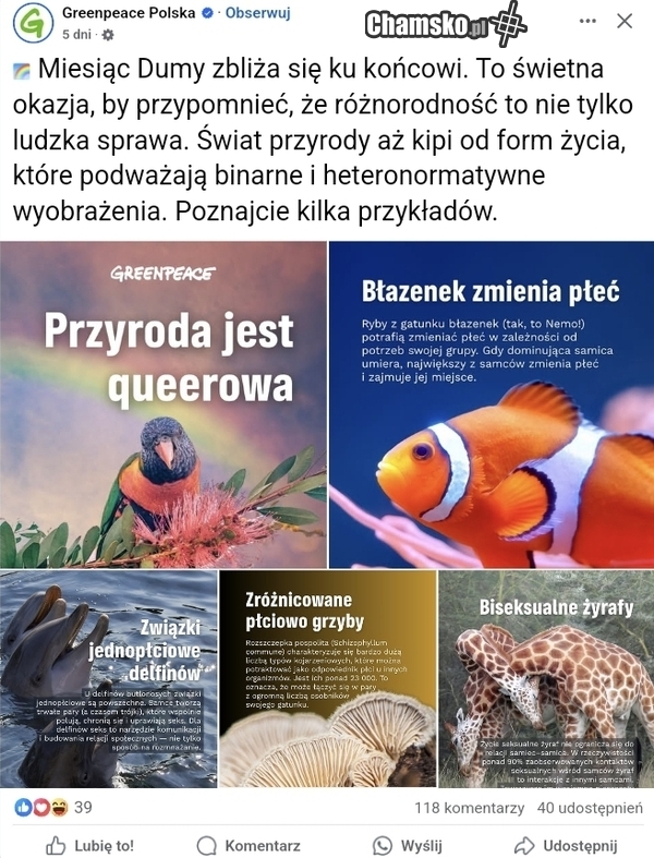 Oto spierdolenie absolutne: