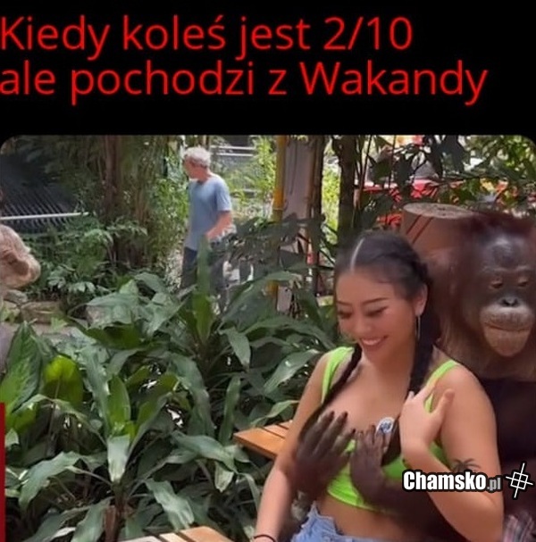 Ale Ty nie masz szans
