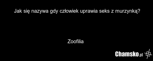 Jak się nazywa gdy człowiek uprawia seks z murzynką? Zoofilia