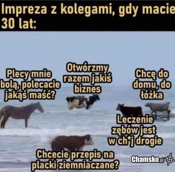 Impreza ze staruchami