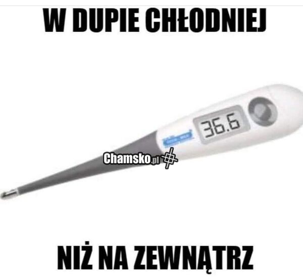 W dupie chłodniej