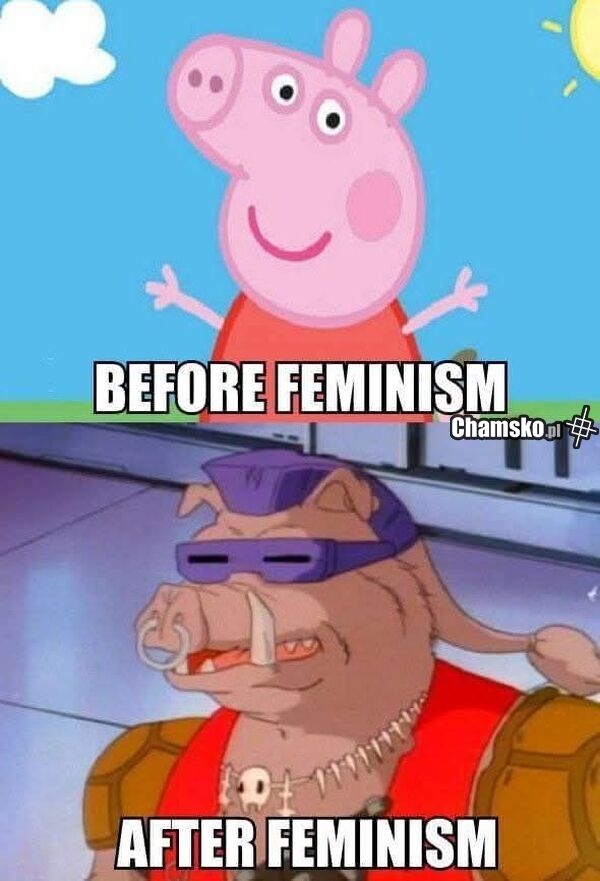 Feminizm