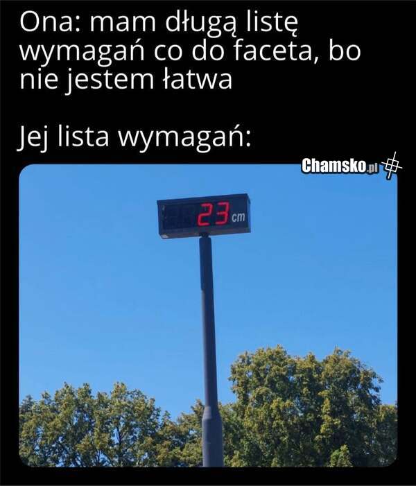 Wymagania