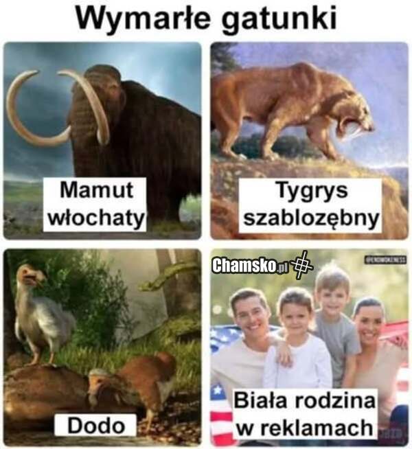 Prawda...