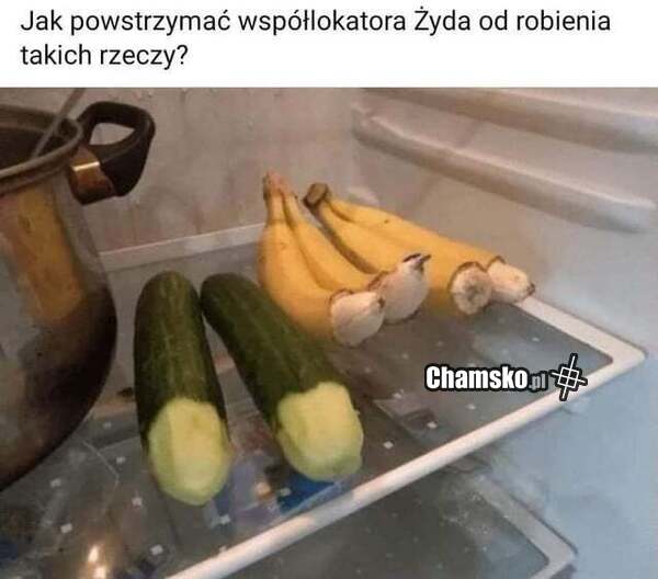 Współlokator