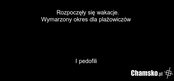 Rozpoczęły się wakacje. Wymarzony okres dla plażowiczów I pedofili