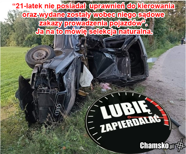Selekcja naturalna.