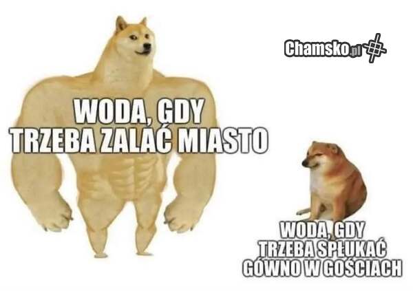 Woda