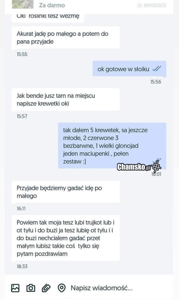Krewetki