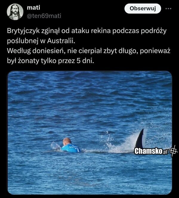 Atak rekina