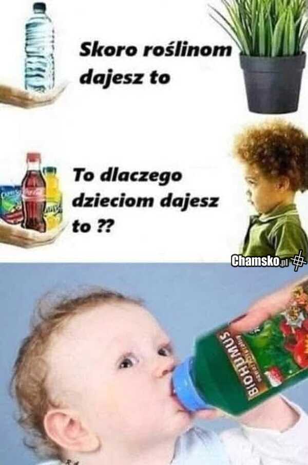 Co dajesz dzieciom?