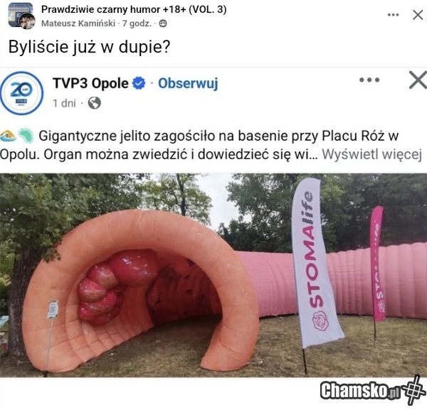 Do dupy