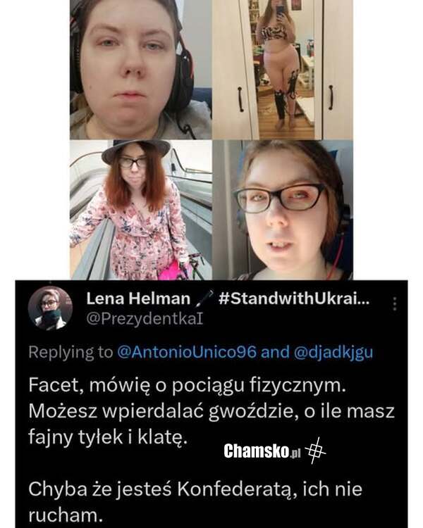 Maciora. Kolejny argument za popieraniem Konfederacji.