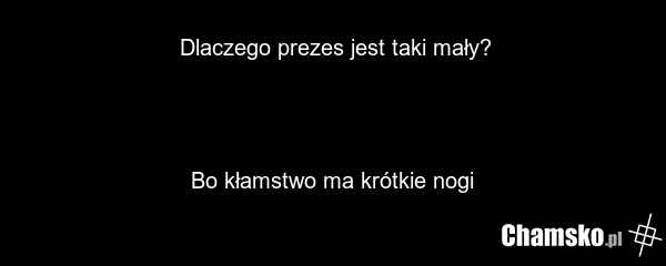 Dlaczego prezes jest taki mały? Bo kłamstwo ma krótkie nogi