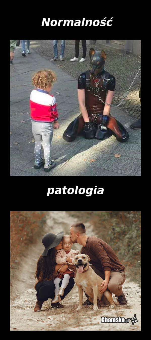 Gdy czytasz wyborczą i onet