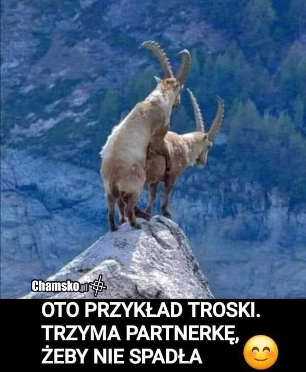 Troska