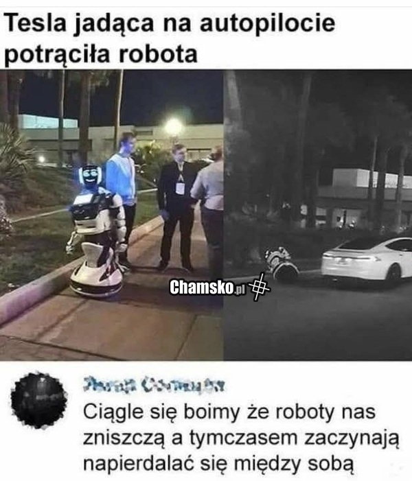 Walka robotów