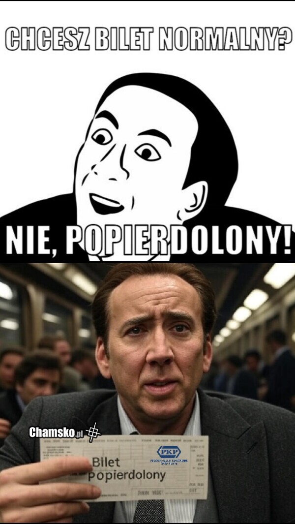 Bilet normalny