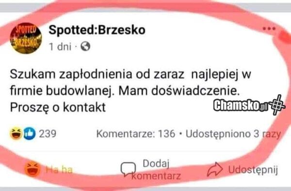 Szukam...