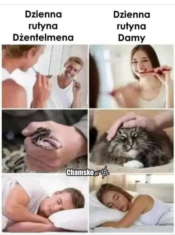 Codzienna rutyna