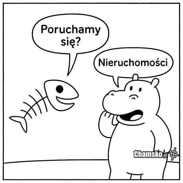 Ruchanko