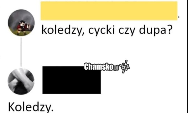 Co wybrać?