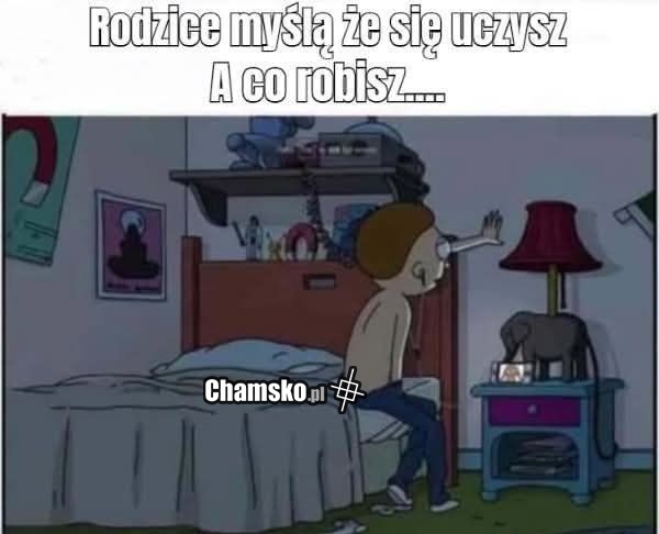 Nauka