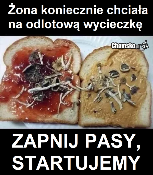 Lecimy z tematem