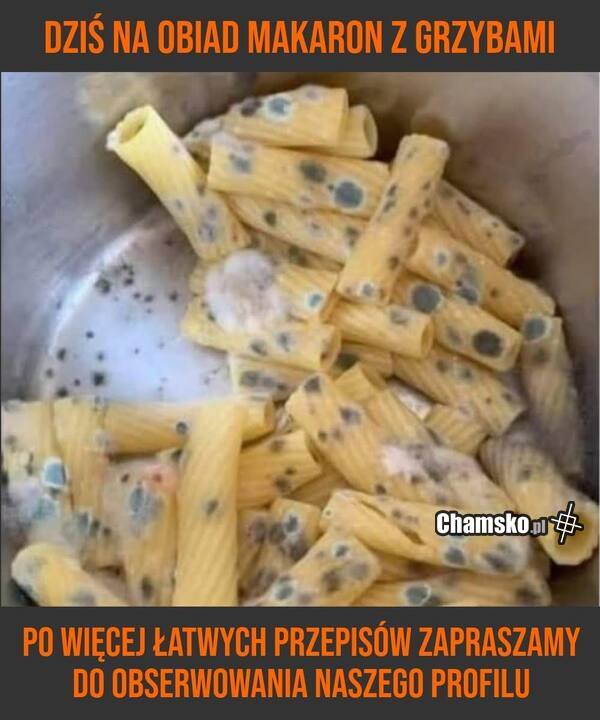 Makaron z grzybami