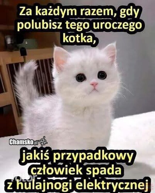 Weź go polub