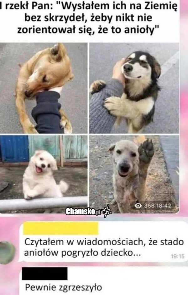 Anioły