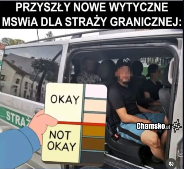 Selekcja
