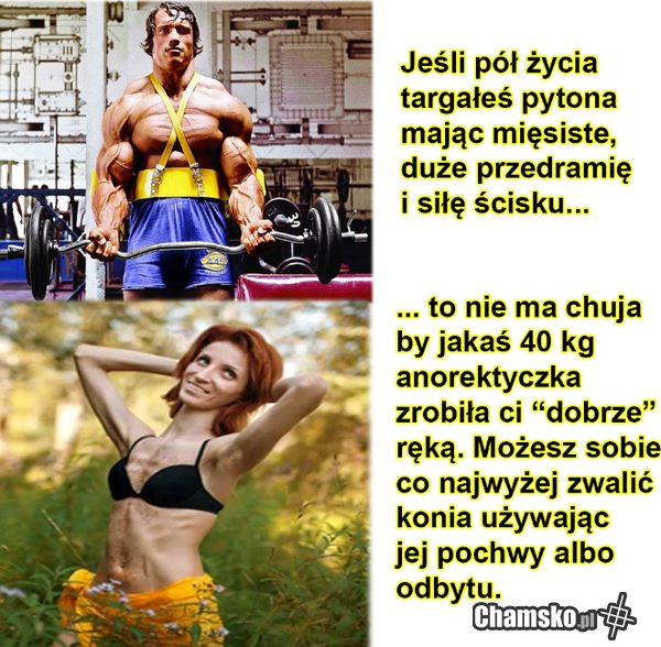 Korzyści z lasek trenujących na siłowni, są głębsze niż tylko ładna dupa.