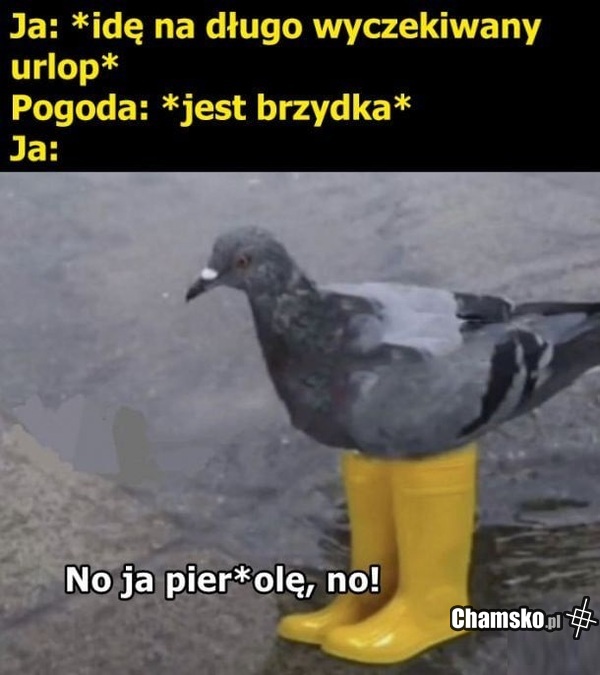 Urlop w Polsce