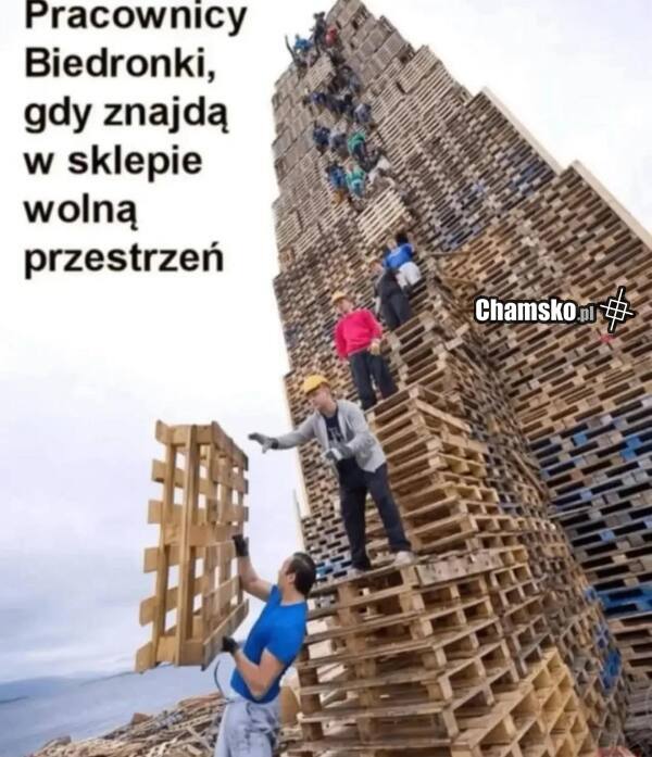 W biedrach