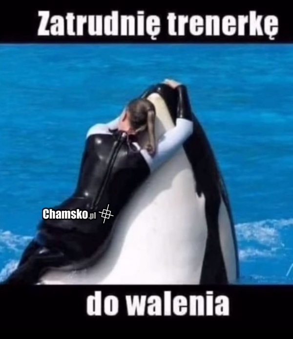Poszukiwana trenerka