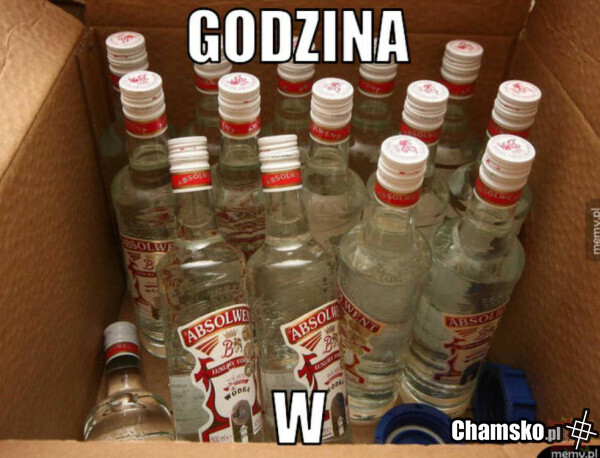 Godzina W