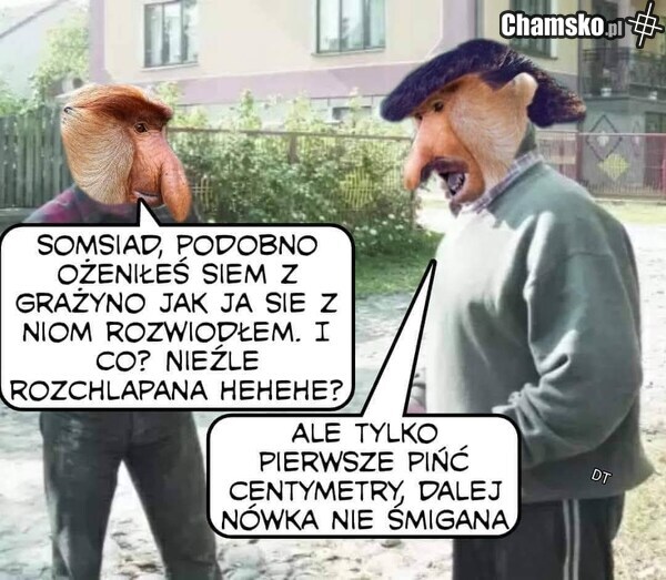 Grażyna