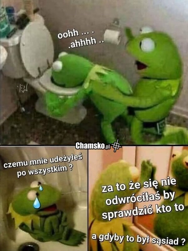 No za co?