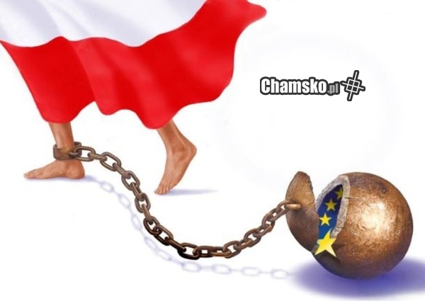 Taka to nasza cebulandzka rzeczywistość...