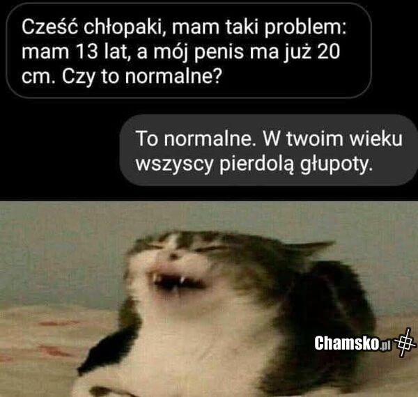 Czy to normalne?