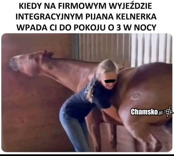 Koń